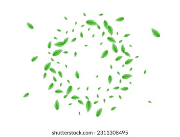 Greenish Plant Background White Vector. Foliage Growth Texture. Pure Frame. Green Mint Card. Vegetation Watercolor.