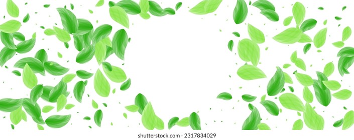 Greenish Plant Background White Vector. Sheet Element Texture. Twig Card. Light Green Floral Frame. Leaf Life.
