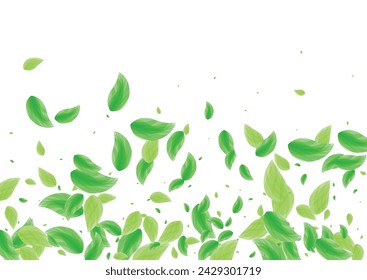 Greenish Plant Background White Vector. Leaf Organic Texture. Space Design. Light Green Blend Illustration. Sheet Grow.