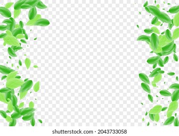 Greenish Sheet Background Transparent Vector. Leaf Herbarium Design. Life Card. Light Green Motion Illustration. Vegetation Clear.