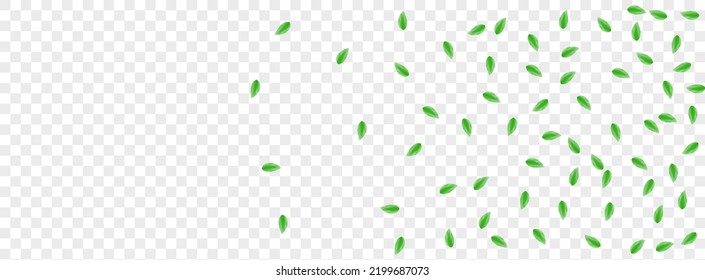 Greenish Sheet Background Transparent Vector. Vegetation Icon Frame. Element Texture. Light Green Environmental Card. Leaves Blend.