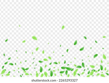 Greenish Sheet Background Transparent Vector. Vegetation Vibrant Texture. Symbol Card. Light Green Figure Frame. Plant Mint.