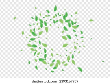 Greenish Sheet Background Transparent Vector. Greenery Falling Frame. Creative Design. Light Green Fresh Card. Leaves Environment.