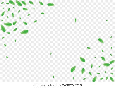 Greenish Sheet Background Transparent Vector. Leaves Border Design. Bio Card. Green Decor Texture. Leaf Vivid.