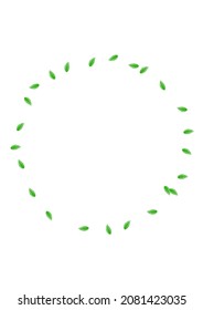 Greenish Sheet Background White Vector. Greenery Decorative Texture. Isolate Card. Light Green Realistic Frame. Vegetation Element.