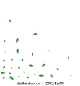 Greenish Sheet Background White Vector. Leaf Garden Illustration. Template Frame. Green Concept Texture. Foliage Silhouette.