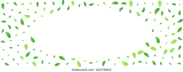 Greenish Sheet Background White Vector. Greenery Grow Frame. Herbal Illustration. Green Refreshing Texture. Vegetation Environment.