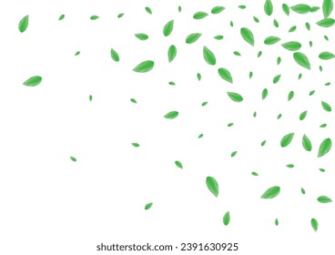 Greenish Sheet Background White Vector. Foliage Border Texture. Bio Card. Green Template Illustration. Vegetation Growing.
