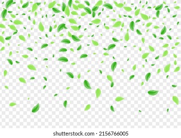 Greenish Vegetation Background Transparent Vector. Plant Selective Card. Flora Frame. Light Green Bio Illustration. Greenery Figure.