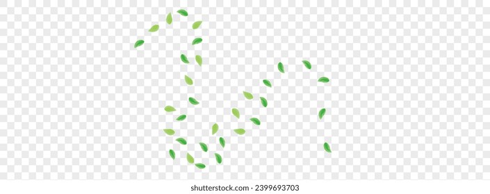 Greenish Vegetation Background Transparent Vector. Foliage Vivid Texture. Beauty Frame. Green Aroma Illustration. Leaves Herbarium.