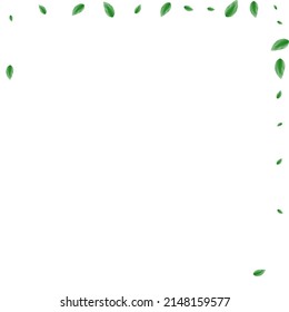 Greenish Vegetation Background White Vector. Foliage Drink Texture. Eco Card. Light Green Environmental Design. Sheet Refreshing.