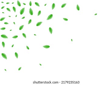 Greenish Vegetation Background White Vector. Leaves Figure Illustration. Life Card. Light Green Air Texture. Sheet Template.