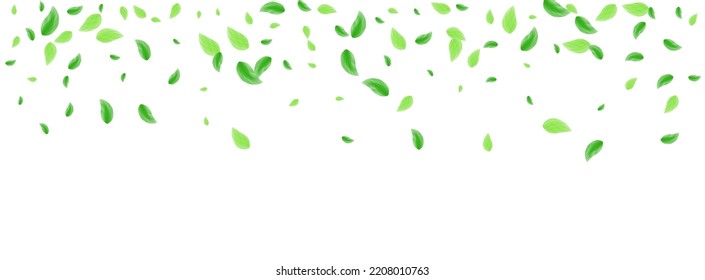 Greenish Vegetation Background White Vector. Leaves Falling Illustration. Template Texture. Green Space Design. Leaf Spring.