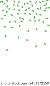 Greenish Vegetation Background White Vector. Sheet Pattern Illustration. Botanical Design. Green Summer Texture. Leaves Symbol.