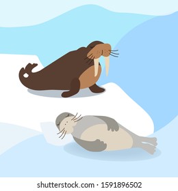 Greenland and arctic wild polar animals clip art. Seal and walrus are on ice floe arctic landscape. Set of cute cartoon characters vector illustration. 