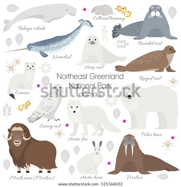 Greenland National park animal set. White polar bear,\
narwhal, whale, musk ox, seal, walrus, arctic fox, ermine, rabbit,\
arctic hare 
