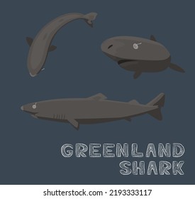 Greenland Shark Cartoon Vector Illustration