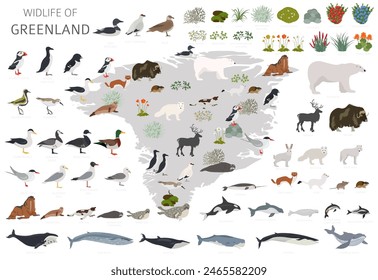 Greenlandic Geography. Design of Greenland wildlife. Animals, birds and plants constructor elements isolated on white set. Vector illustration
