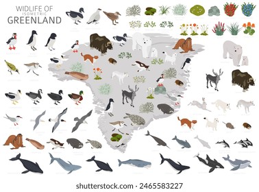 Geografía isométrica groenlandesa. Diseño de la fauna de Groenlandia. Elementos constructores de animales, pájaros y plantas aislados en set blanco. Ilustración vectorial