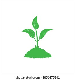 Greenleaf logo vector design template