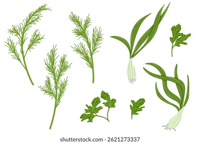 Greens branches vector illustrations set isolated on white background. Set of edible greenery, dill, parsley, green onion. Culinary herb. Hand drawn art of vegetable for print and web