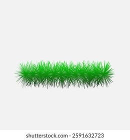 greens, grass, green branch, on a white background
Vector illustration EPS10