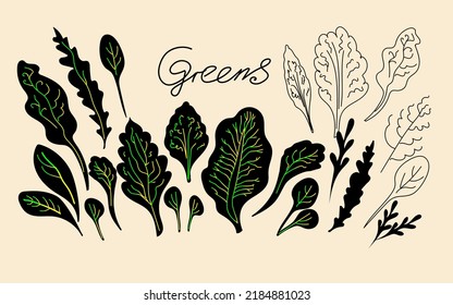 Greens, leaves silhouettes hand drawn doodle sketch vector illustrations.  Modern style elements for menu design. 