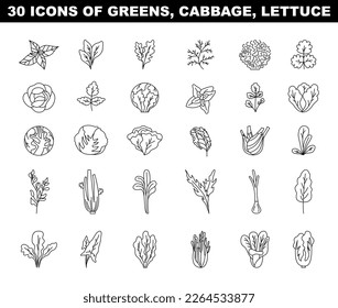 Greens, lettuce and cabbage black and white icons set. Vegetable salad ingredients, natural and vegetarian foods. Flat vector illustration