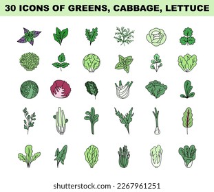 Greens, lettuce and cabbage simple colored icons set. Vegetable salad ingredients, natural and vegetarian foods. Flat vector illustration