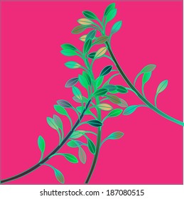 greens on a pink background