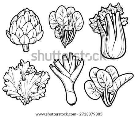 Greens - shallots, lettuce, spinach, celery linear drawing for coloring page on white background 