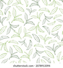 Greentea leaves line art isolated on white background.