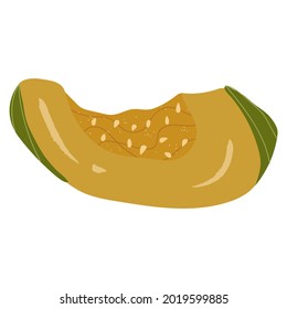 Green-yellow slice pumpkin, autumn decorative.Vector hand drawn cartoon
