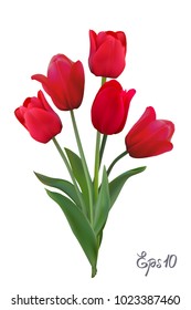 Greeting banner with red tulips. 8 March - International Women's Day.Vector illustration.