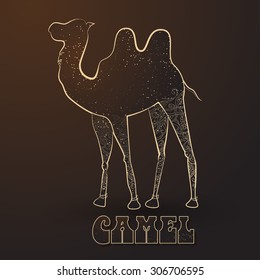 Greeting Beautiful card with camel. Frame of animal made in vector. Perfect cards, or for any other kind of design, birthday and other holiday. Seamless hand drawn map with camel desert.