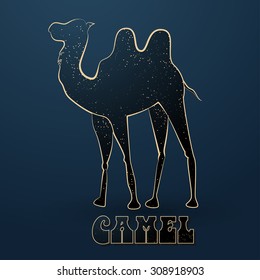 Greeting Beautiful card with camel. Frame of animal made in vector. Perfect cards, or for any other kind of design, birthday and other holiday. Seamless hand drawn map with camel desert.