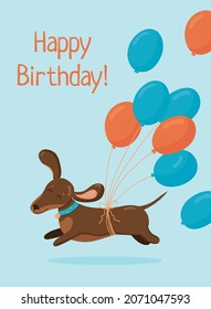 Greeting birthday card template. Cute dachshund run in love mood with air balloons isolated on blue background. 