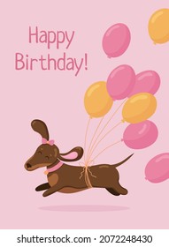 Greeting birthday card template. Cute dachshund run in love mood with air balloons isolated on pink background. 