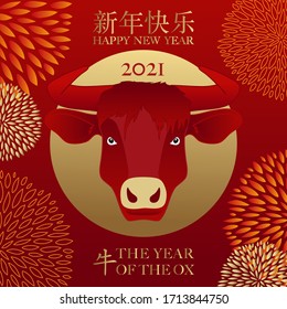 Greeting card 2021, for the Chinese year of the ox with the head of the animal on a red and gold background - translation: happy new year, ox.