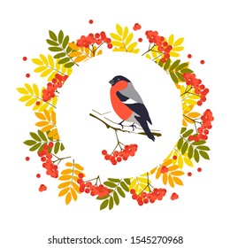 Greeting card with autumn leaves, berries and bird. Bullfinch on a background with rowan berries.