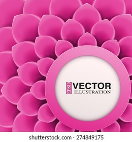Greeting card or background with soft pink flower. Vector Illustration isolated on white background.