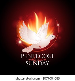 Greeting card or banner to Pentecost Sunday with flame and holy spirit dove. Catholics and Christians Religious culture holiday.  Perfect to use in advertising or web design and others projects