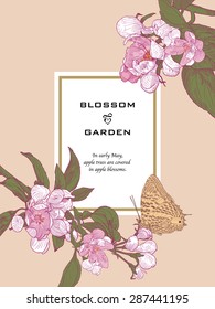 Greeting Card with Blooming Apple Tree Twigs and Sitting Down Butterfly. Colorful Vector Illustration. Hand drawn botanical style.
