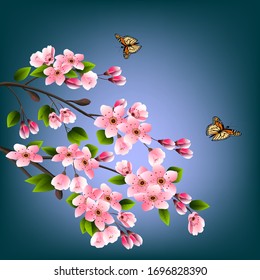 Greeting card with blooming cherry and butterflies.Blooming cherry in a vector illustration.