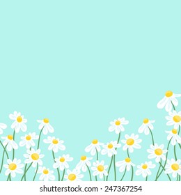 Greeting card with a blue background with white cartoon daisies on green stems