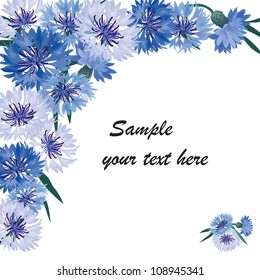 Greeting card with blue cornflower and frame for text, copy space. Floral  postcard. Flower bouquet isolated. Flourish label.