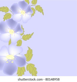 greeting card with blue flowers