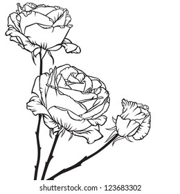 Greeting card with a bouquet of roses contour image