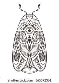Greeting card with bug. Ornamental of Insect made in vector. Beetle ornamental. Element for design. Hand drawn map with  bug ornamental.