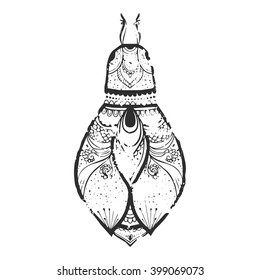 Greeting card with bug. Ornamental of Insect made in vector. Beetle ornamental. Element for design.  Hand drawn map with  bug ornamental.